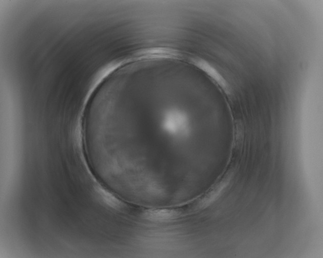 X0000111441474200907201119