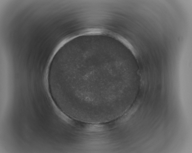 X0000111441475200907201119