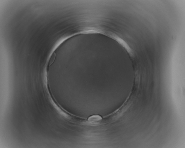X0000111441476200907201119