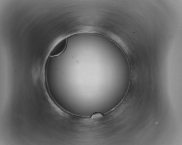 X0000111441479200907201119