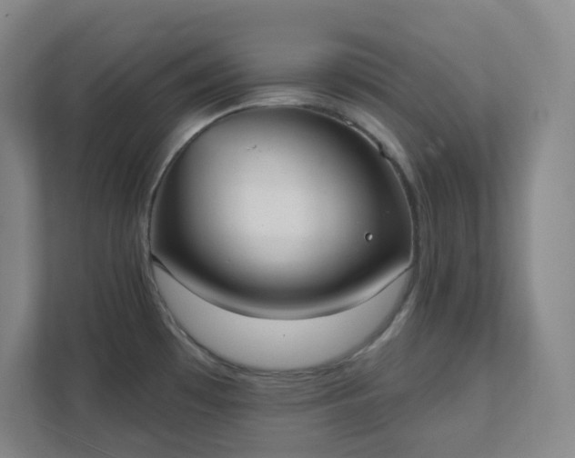 X0000111441481200907201118