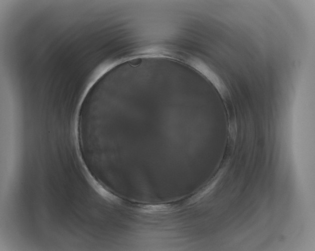 X0000111441482200907201118