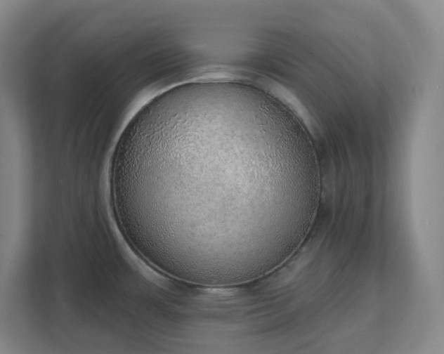 X0000111441483200907201118