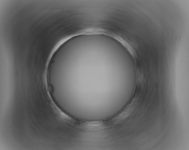 X0000111441486200907201118