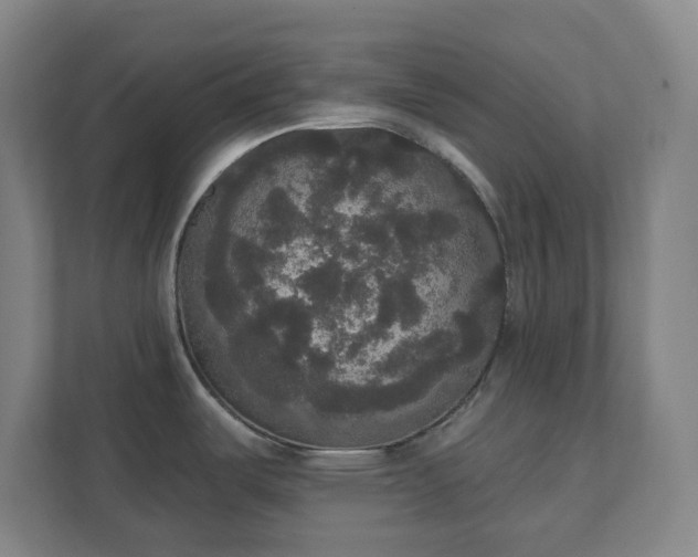 X0000111441487200907201118