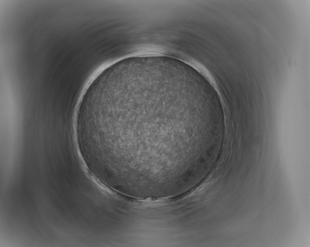 X0000111441488200907201118