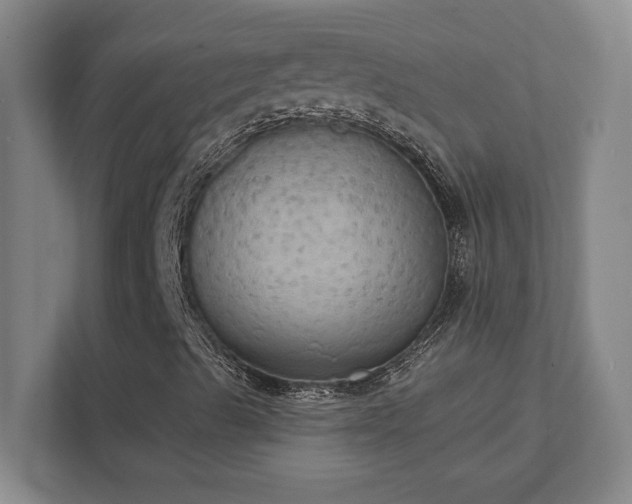 X0000111441489200907201118