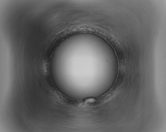 X0000111441490200907201118