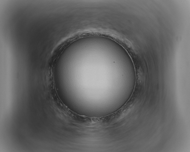 X0000111441494200907201118