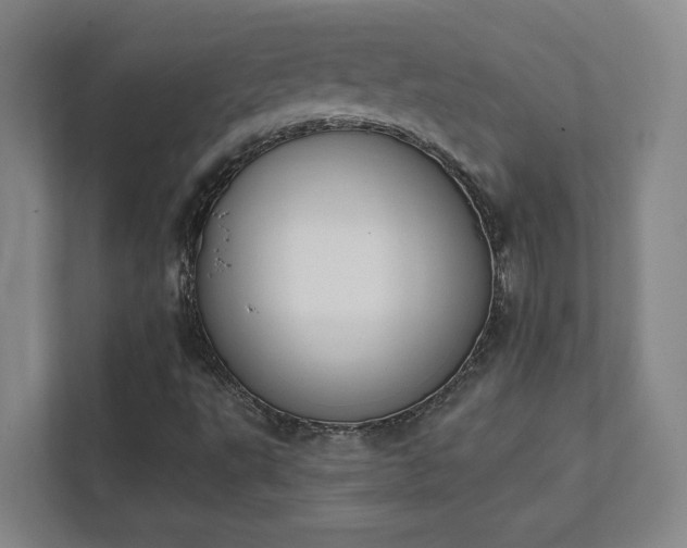 X0000111441495200907201118