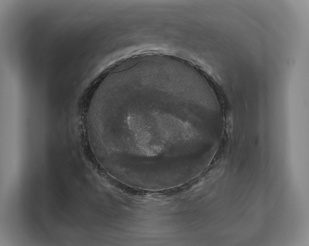 X0000111441496200907201118