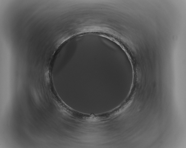 X0000111441497200907201118