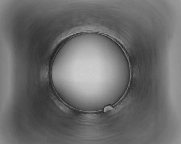 X0000111441499200907201118