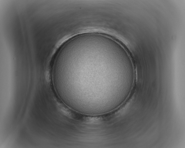 X0000111441501200907201118