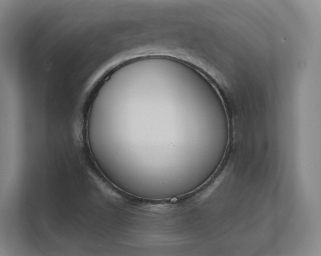 X0000111441502200907201118