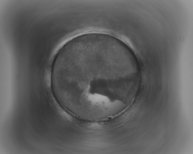 X0000111441504200907201118