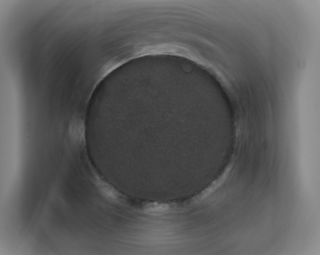 X0000111441505200907201118