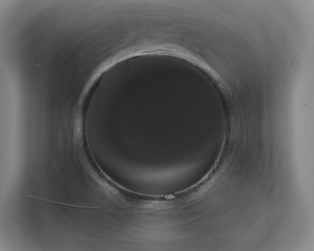 X0000111441506200907201118