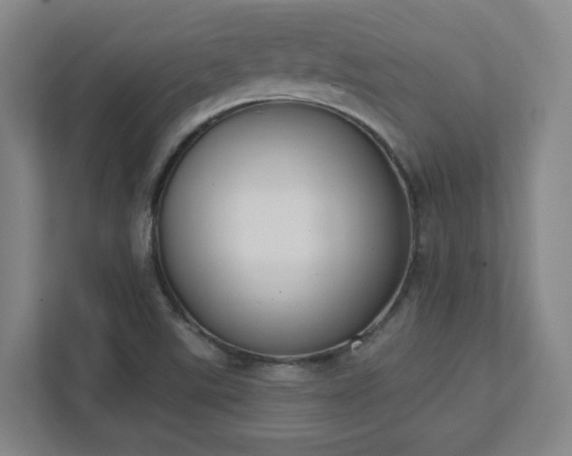 X0000111441507200907201118