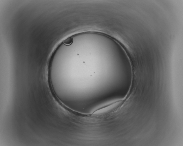 X0000111441508200907201118