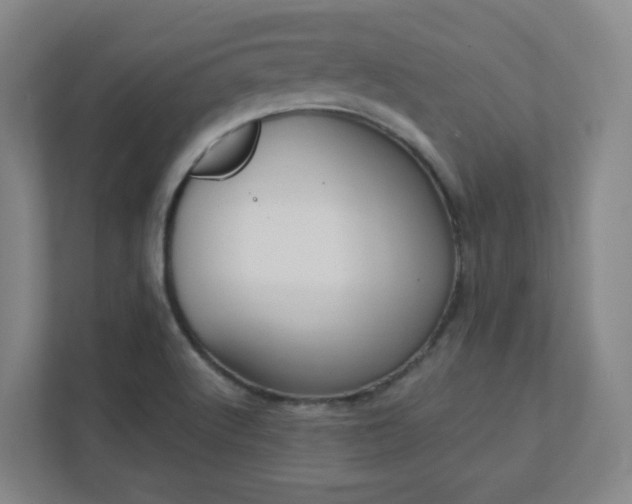 X0000111441512200907201118