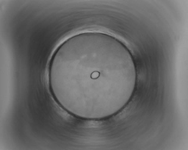 X0000111441514200907201118
