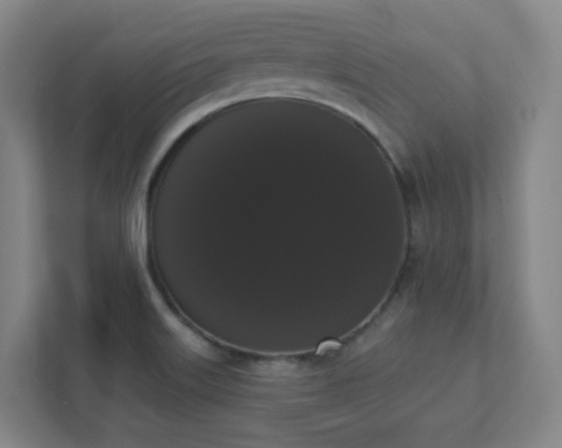 X0000111441515200907201118