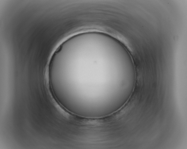 X0000111441516200907201118
