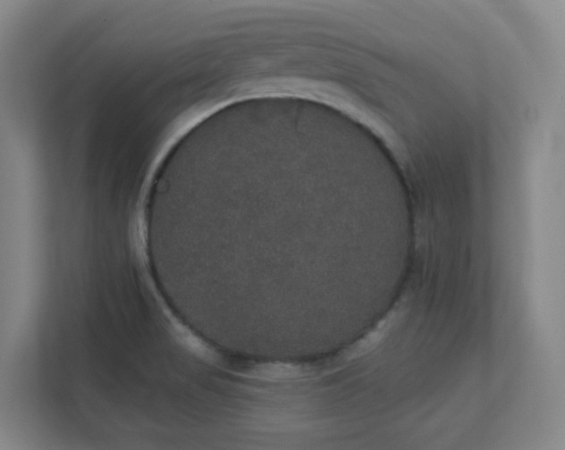 X0000111441517200907201118