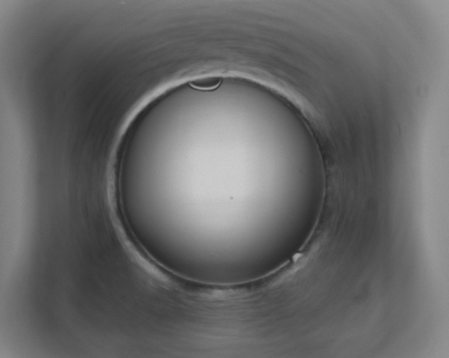 X0000111441518200907201118