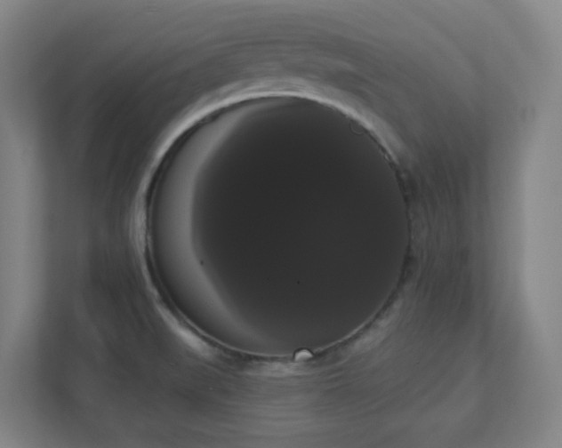 X0000111441519200907201118
