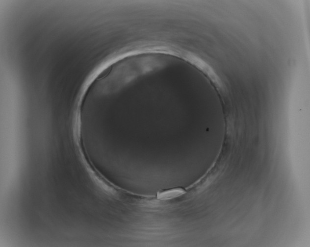 X0000111441520200907201118