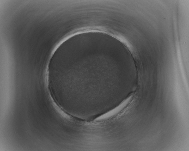 X0000111441524200907201118