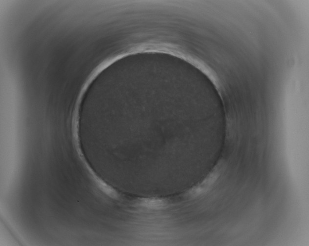 X0000111441525200907201118