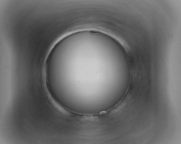 X0000111441526200907201118