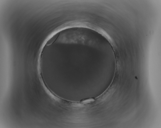 X0000111441528200907201118