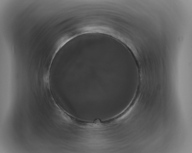 X0000111441529200907201118