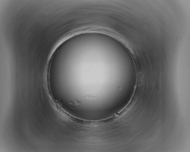 X0000111441530200907201118