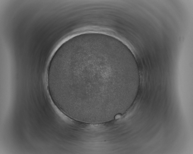 X0000111441531200907201118