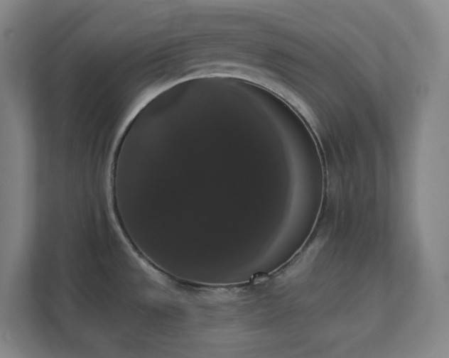 X0000111441533200907201118