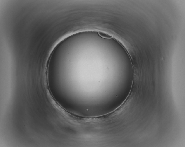 X0000111441534200907201118