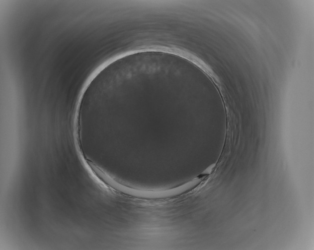 X0000111441536200907201118