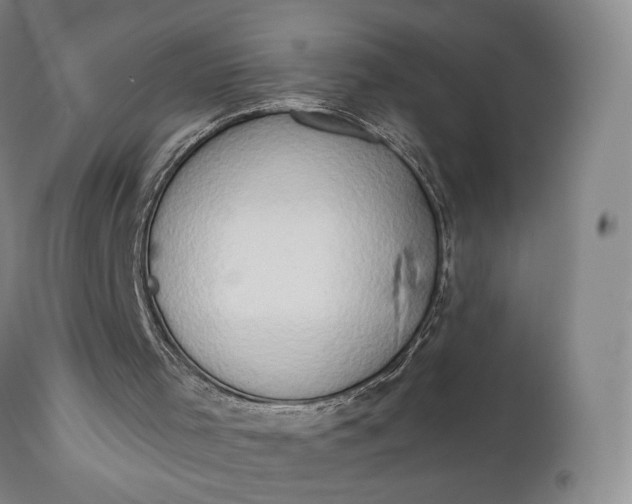 X0000111440001200907271141