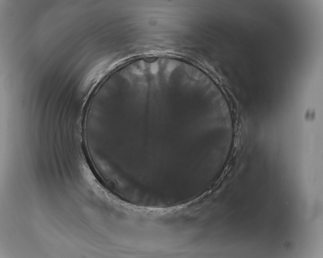 X0000111440002200907271141