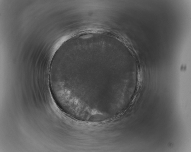 X0000111440003200907271141