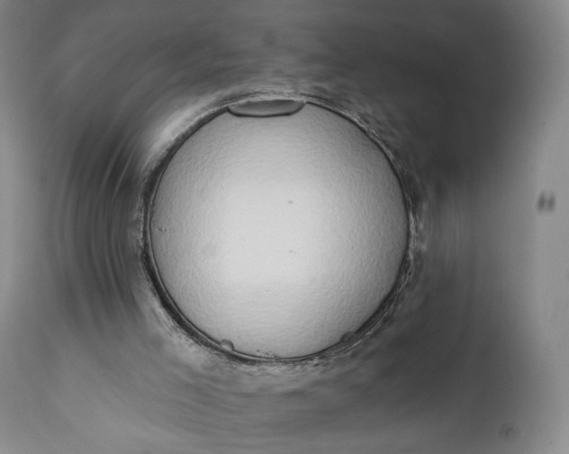 X0000111440005200907271141