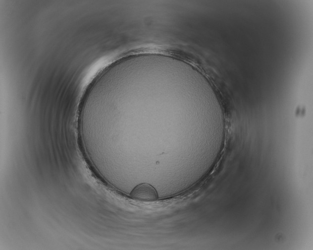 X0000111440006200907271141