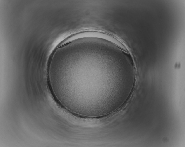 X0000111440008200907271141