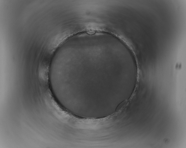 X0000111440009200907271141