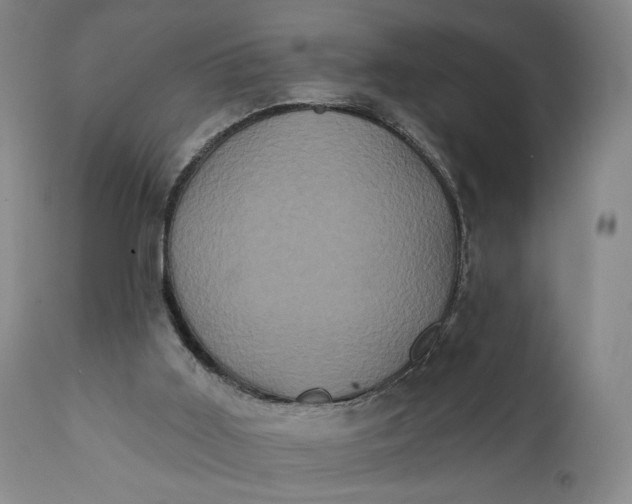 X0000111440011200907271141